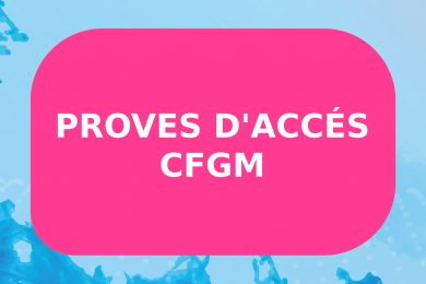 Proves accés grau mitjà